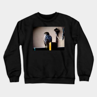 Habitat Loss: The Hunter Crewneck Sweatshirt